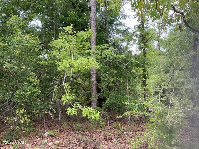 Compass Lake Hills Unit 5 - Land