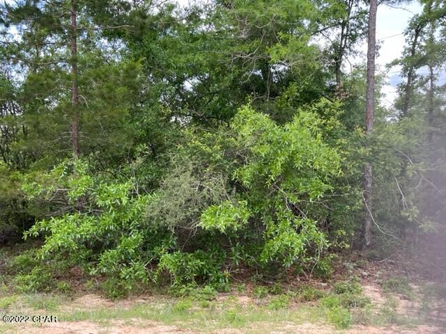 Compass Lake Hills Unit 5 - Land