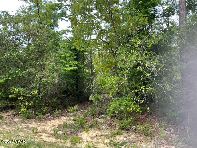 Compass Lake Hills Unit 5 - Land