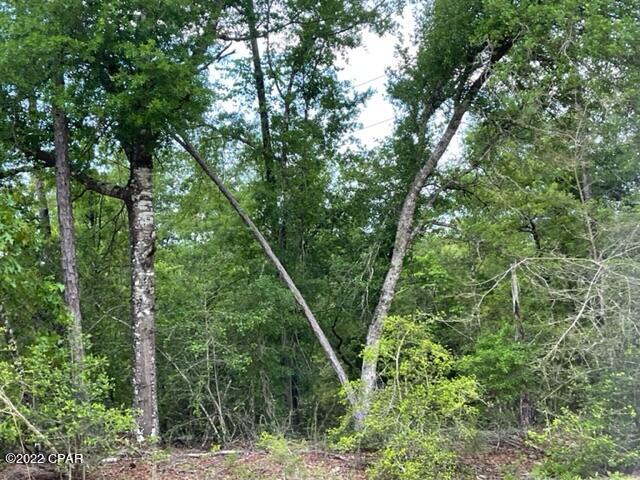 Compass Lake Hills Unit 5 - Land