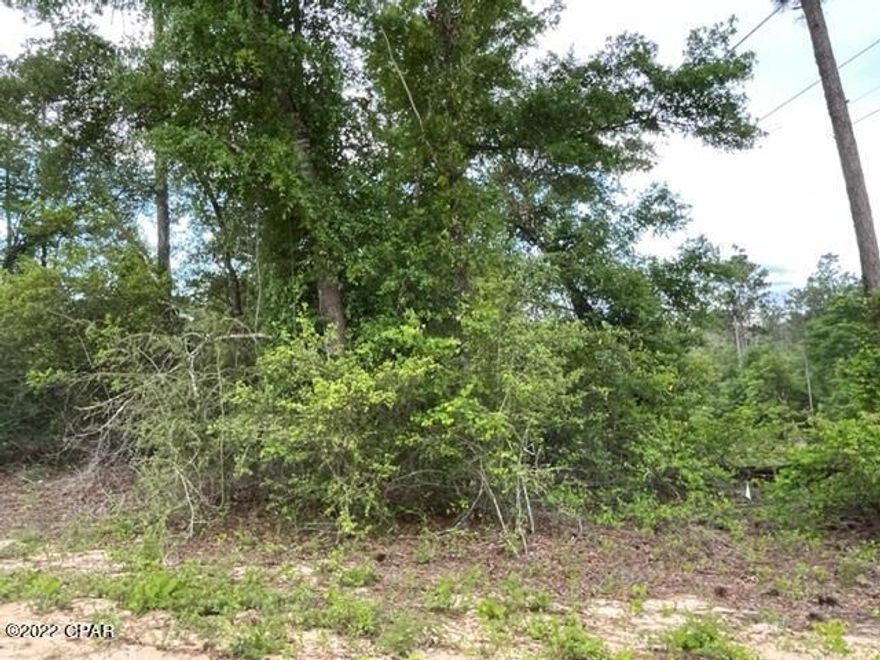 Large wooded lot in beautiful Compass Lake Hills.  Lot is just off of a paved street.   There is a mixture of beautiful native trees.  If you like to watch wildlife, birds, butterflies, this is the place!  Easy access to the north fo Marianna for shopping and south to Panama City on the coast where there is some of the world's most beautiful beaches.