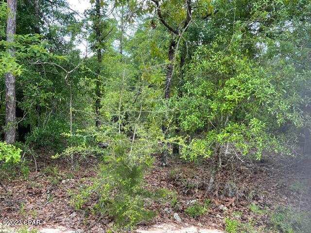 Compass Lake Hills Unit 5 - Land