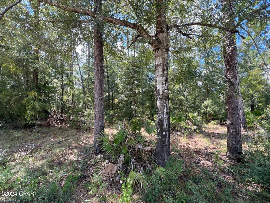 5 acres located in Northern Bay County.  Wooded with beautiful mature pines and lots of road frontage.  Seller says no deed restrictions.  Quiet area with lots of wildlife.  Saw approx 12 turkeys crossing the road on the way there.  See Pictures.  close and convenient to Hwy 231.