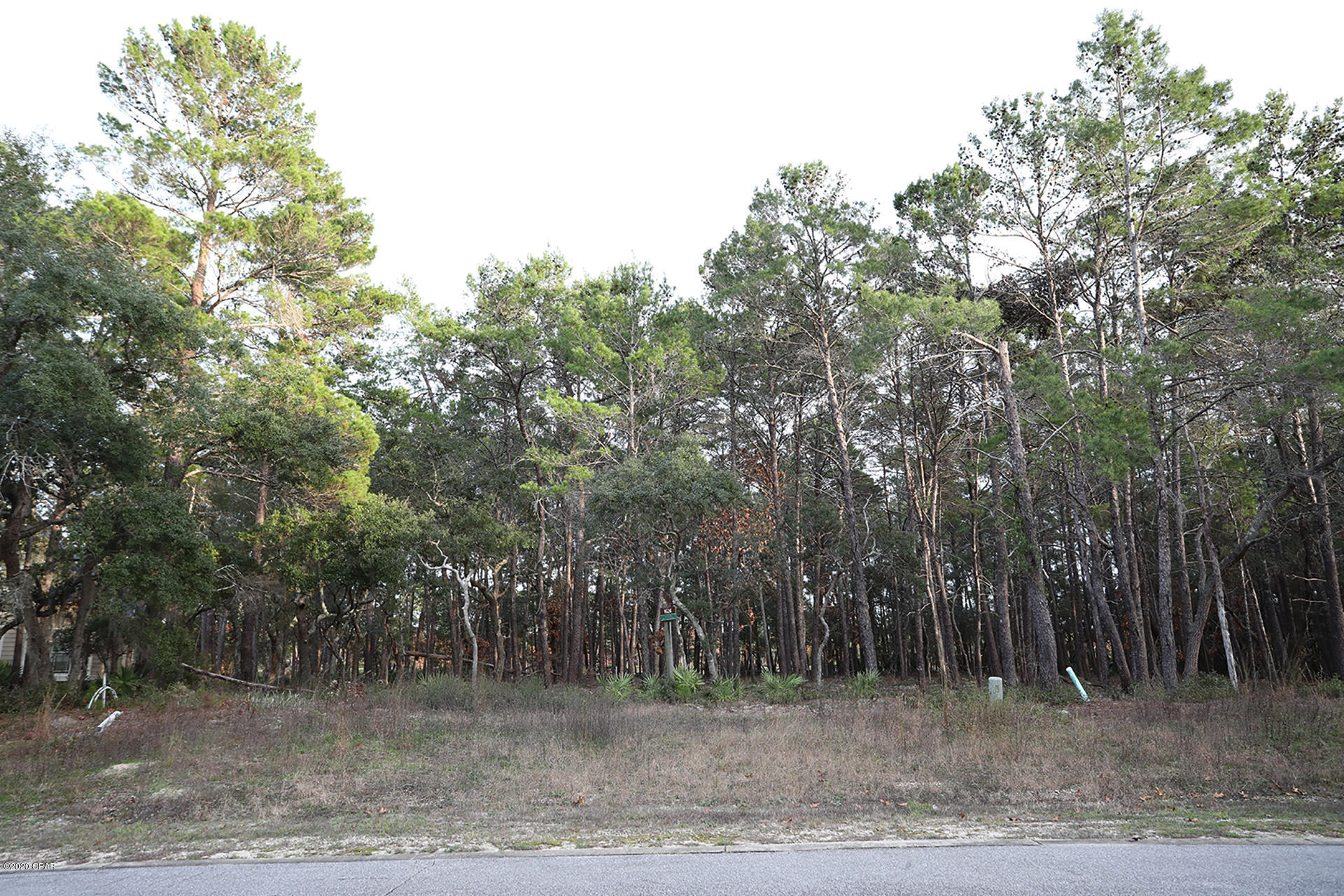 Wild Heron Phase III - Land