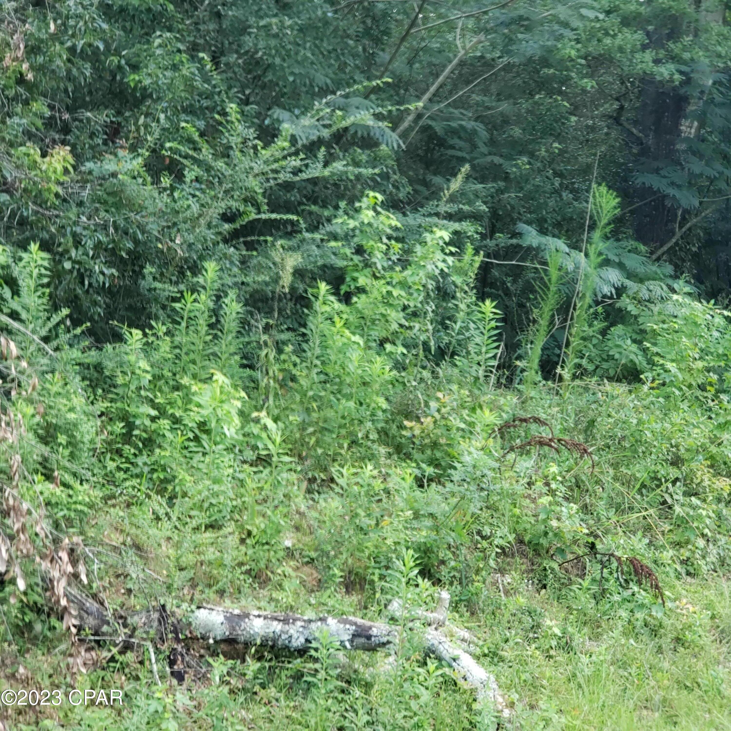 No Named Subdivision - Land