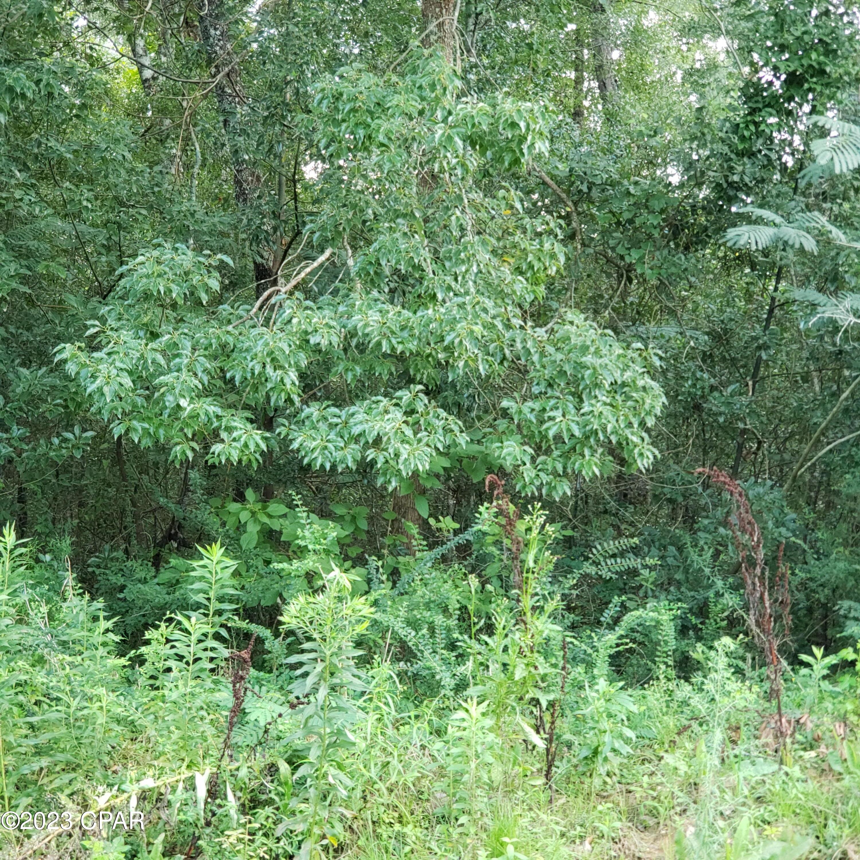 No Named Subdivision - Land