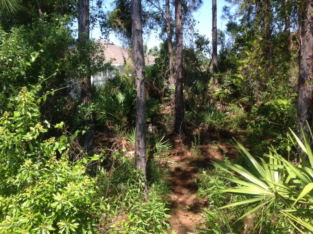 Palmetto Trace Phase IV - Residential