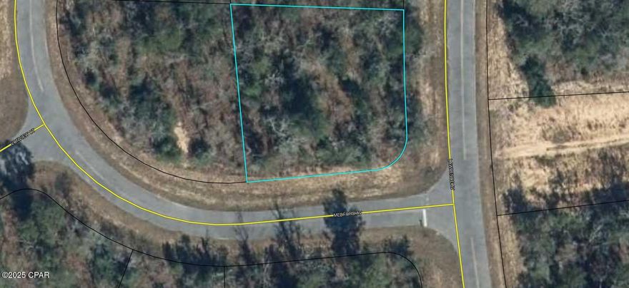 Perfect building lot. Wake up in Nature's Arms. Plenty of trees on the property as well as native foliage. The property is perfect for privacy and has beautiful shade trees. This parcel is in a great location to see deer, fox, rabbits, squirrels, turkeys and an occasional eagle. The area around the property is quiet and peaceful. The parcel has been left to its original landscape with little clearing which makes it a blank canvas for you to make it your own. That means YOU decide which trees to keep, YOU decide where to put your driveway and YOU decide when this adventure begins. Build your dream home or place this one in your portfolio for the future. These parcels also make a great graduation gift, Birthday gift or wedding gift. Also, only minutes away from the World's Most Beautiful Beaches Panama City Beach and Famous Pier Park Shopping. Also, near by, are Tyndall Air Force Base, Marianna Caverns and several of Northwest Florida's Cool Running Deep Water Springs. Florida is home to so many indigenous species of plants and animals you will never tire of being outdoors. This parcel is priced to move quickly so call today !!!