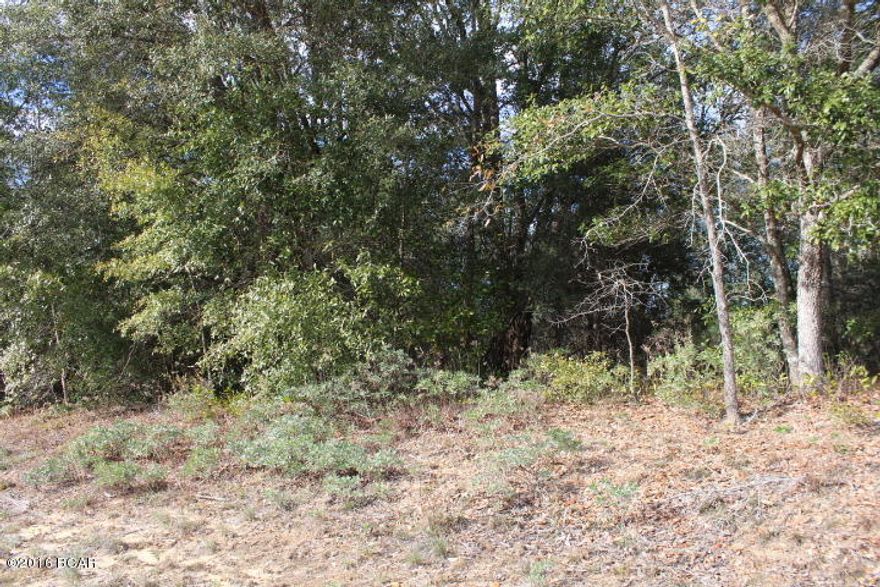 Nice residential building lot in beautiful Sunny Hills where you have access to a nice golf course and several nice lakes. It is only a short drive into Chipley, the county seat of Washington county. Also you have easy access to Panama City, FL down on the coast where you have some of the world's most beautiful beaches. There is an International airport nearby.