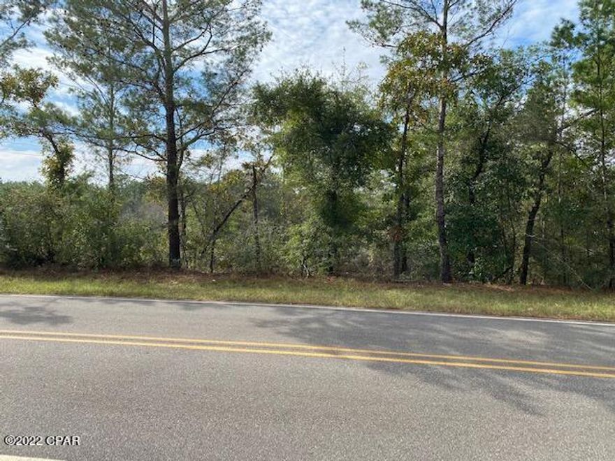 This property is perfect for building a home or setting up a trailer.  It is located in the fast growing community of Mossyhead which is half way between DeFuniak Springs and Crestview Florida.  Access to exit on I-10 is only a few miles away.  This property is on a paved road.  Septic, electric and water needed.  Sign is on the property.
