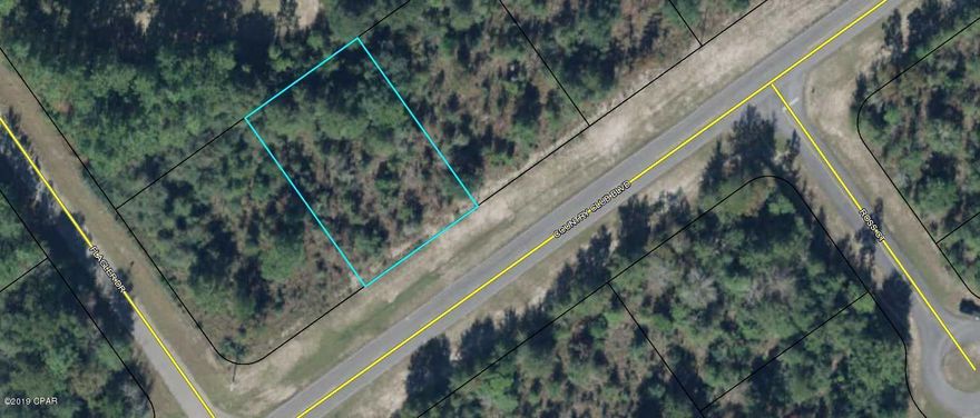 Wooded lot on Sunny Hills Golf Course faces Country Club Blvd. Back of lot is facing golf course.  These lots are restricted to homes--no mobile homes allowed. Living in this subdivision allows you to fish in Gap Lake which is over 350 acres of water, swim in Boat Lake with white sandy beaches, use civic center and library, and the beautiful golf course is open to the public.