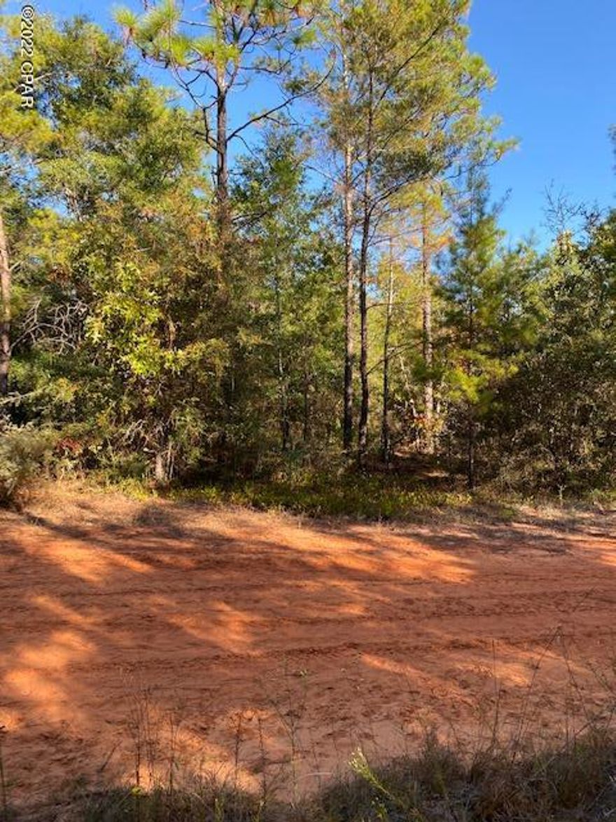 This .229 acre property is perfect for a home or trailer. Located half way between DeFuniak Springs and Crestview, FL and near a I10 Exit.

Water, Septic and Electric needed.