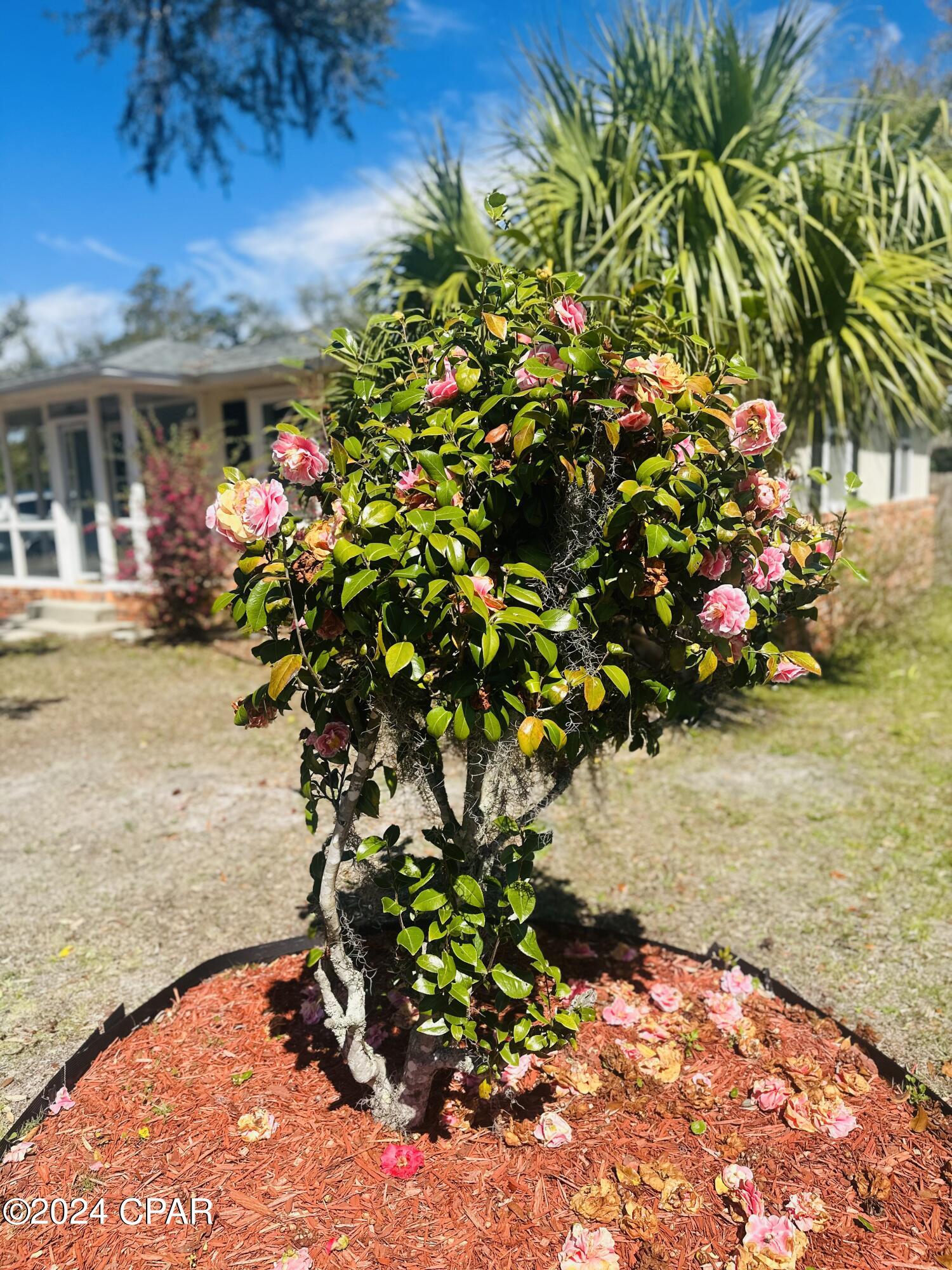 Cove Terrace - Residential