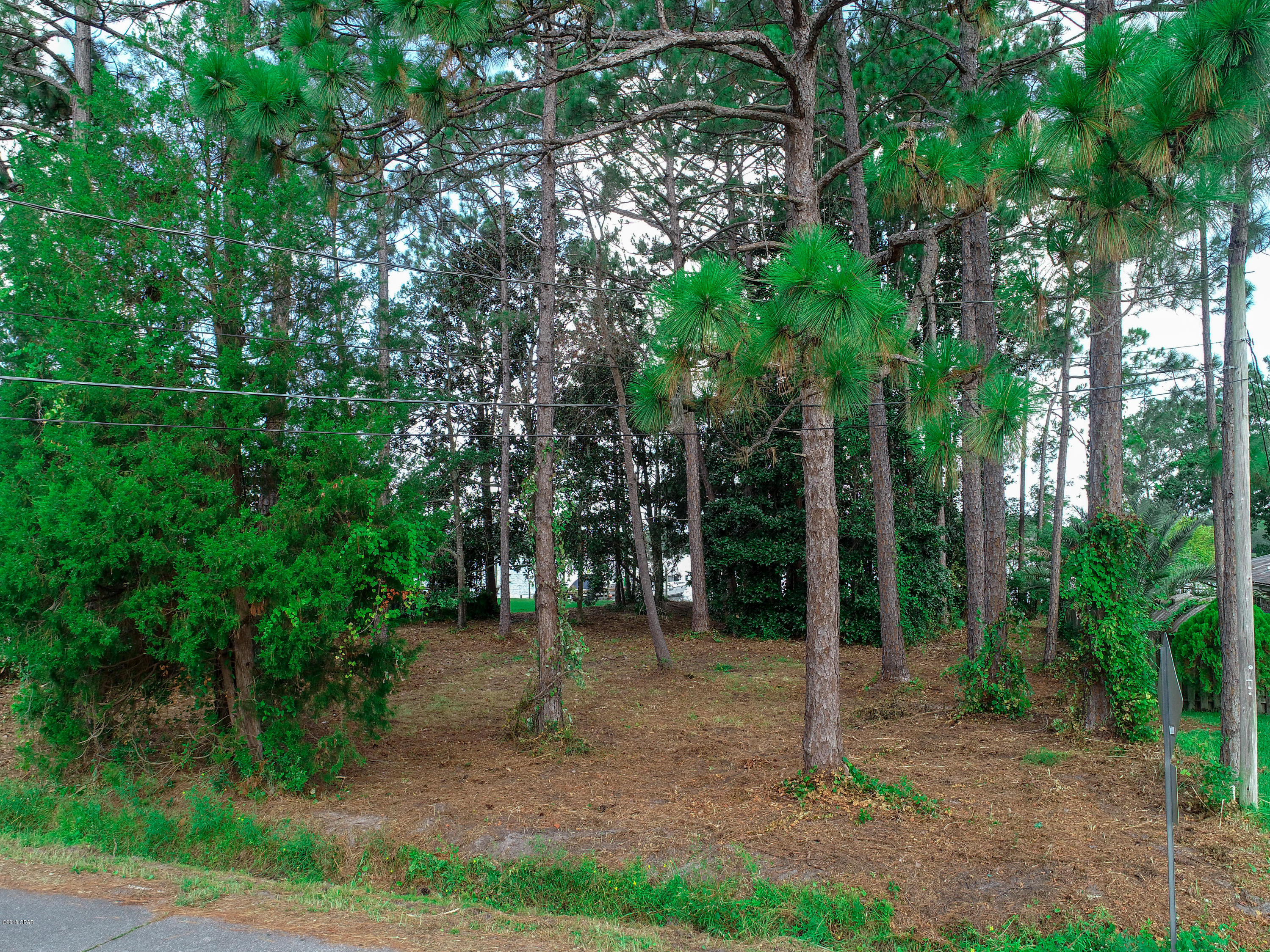 Plantation Point - Land