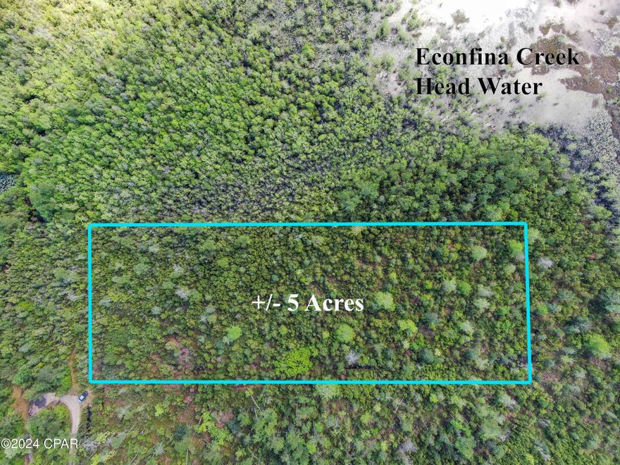 PRICE IMPROVEMENT!!!!  This secluded 5-acre wooded parcel, priced at $6K per acre, offers a unique opportunity. Partially zoned as 'Conservation' land with some FEMA High Zones on the flood map, it boasts privacy and tranquility. Situated at the end of Boase Lane, the property borders the Econfina Spring head, providing a serene environment. 
Conveniently located just 17 miles from Marianna, 44 miles to Tyndall Air Force Base, 80 miles to Tallahassee, and 38 miles to Panama City, it offers a blend of seclusion and accessibility to amenities. 

Buyers are encouraged to conduct due diligence to confirm suitability for their intended purpose. Bring all offers and seize this great value! Contact me or your preferred agent today!
