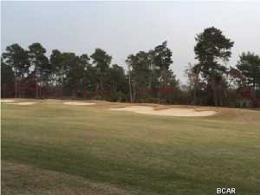 PREMIUM GOLF COURSE LOT ON THE 10th Fairway of Shark's Tooth Golf Course. One of the ''NICEST AVAILABLE GOLF COURSE LOTS''. Located in the beautiful gated community of Wild Heron, a sanctuary in 734 acres of natural preserve on the largest coastal dune lake in Florida. Lavish amenities abound! Pool, spa, state of the art fitness center, boat house with kayaks, canoes and paddle boards, grills, covered picnic pavilion, fire pit, playground, walking trails and much more! Come check out this uniquely designed development that offers the BEST IN COASTAL LIVING!