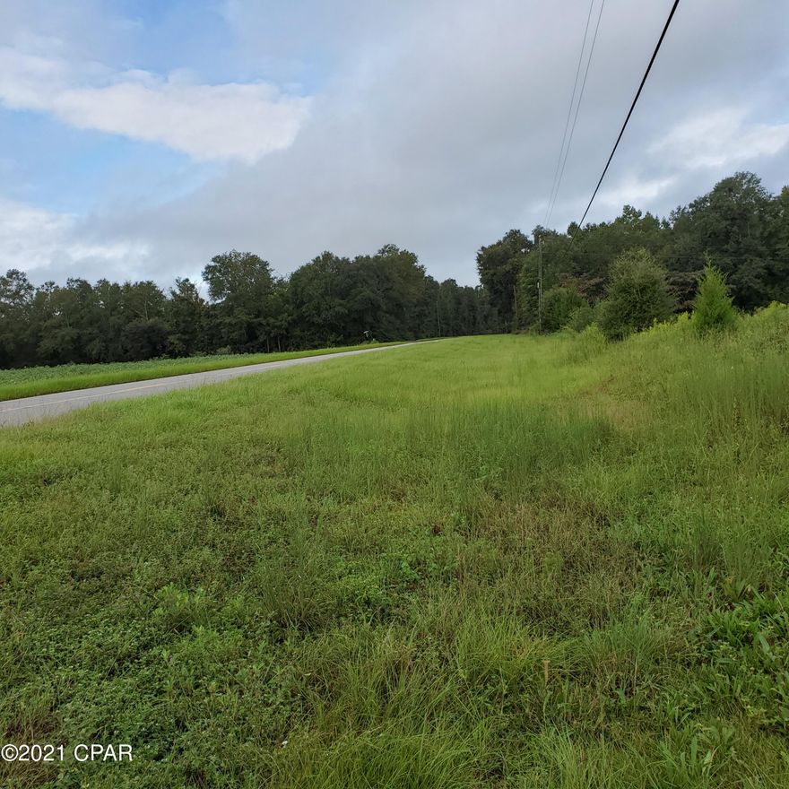 * Property under contract , Buyer accepting back up offers * Wow , this property has some beautiful HUGE oak trees and several pretty home sites on this 28.59 acres to pick from. Front acreage that faces Hwy 162 has had row crops on it and the rest is wooded, with some areas that just need mowing. Property has an old singlewide trailer on it of no value . If you are wanting country living these might be just what you are looking for, call today for more information.