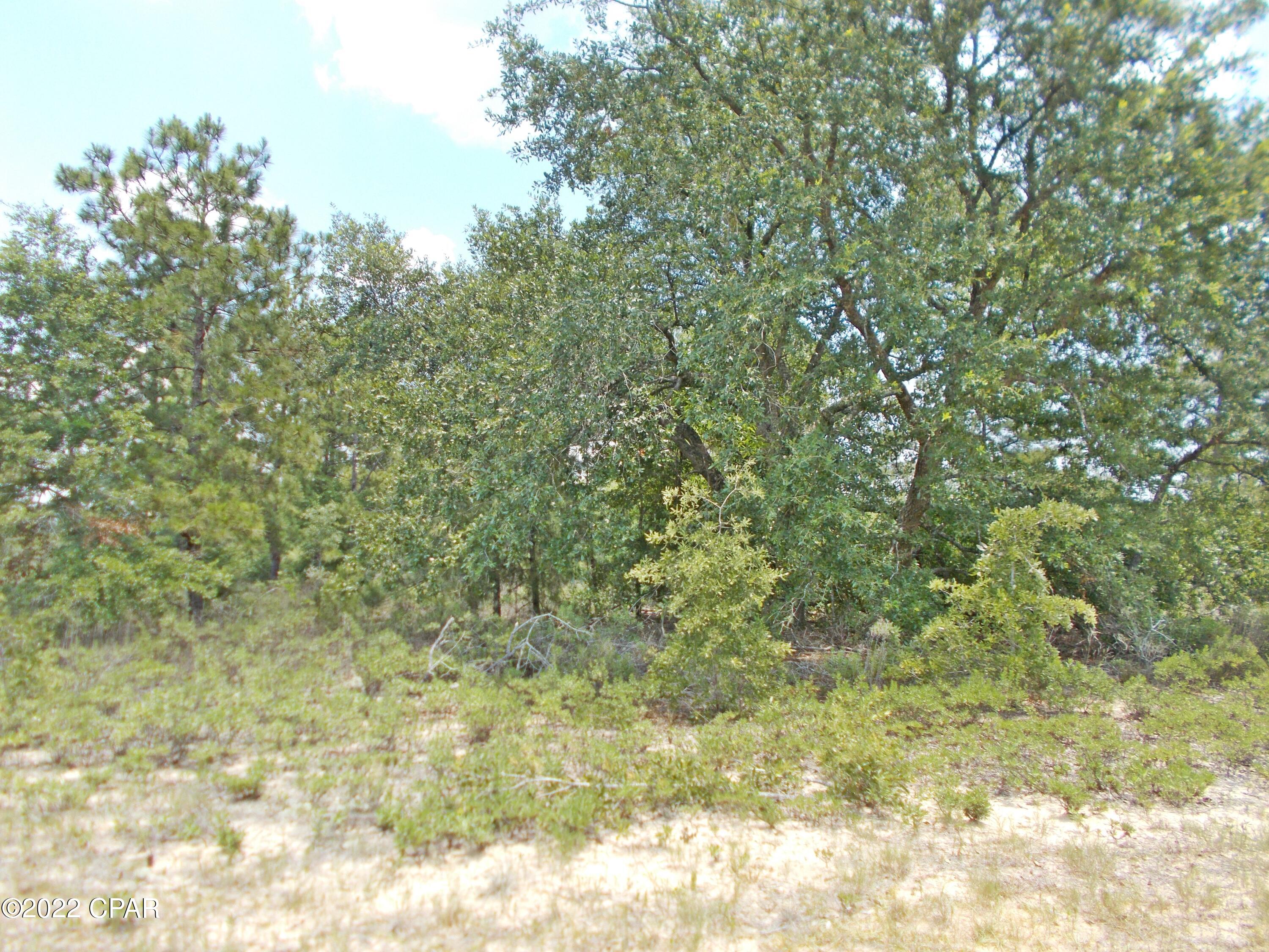 Compass Lake Hills Unit 3 - Land