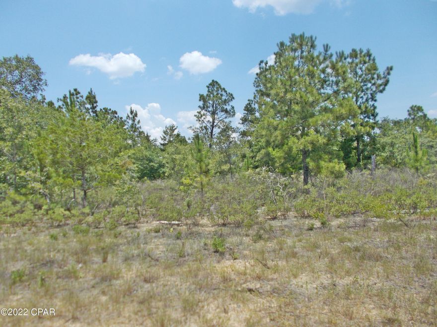 Nice level building lot in Compass Lake in the hills on a paved road, very easy to clear lot, there is a 135. annual fee to use the amenities of Compass Lake in the Hills.