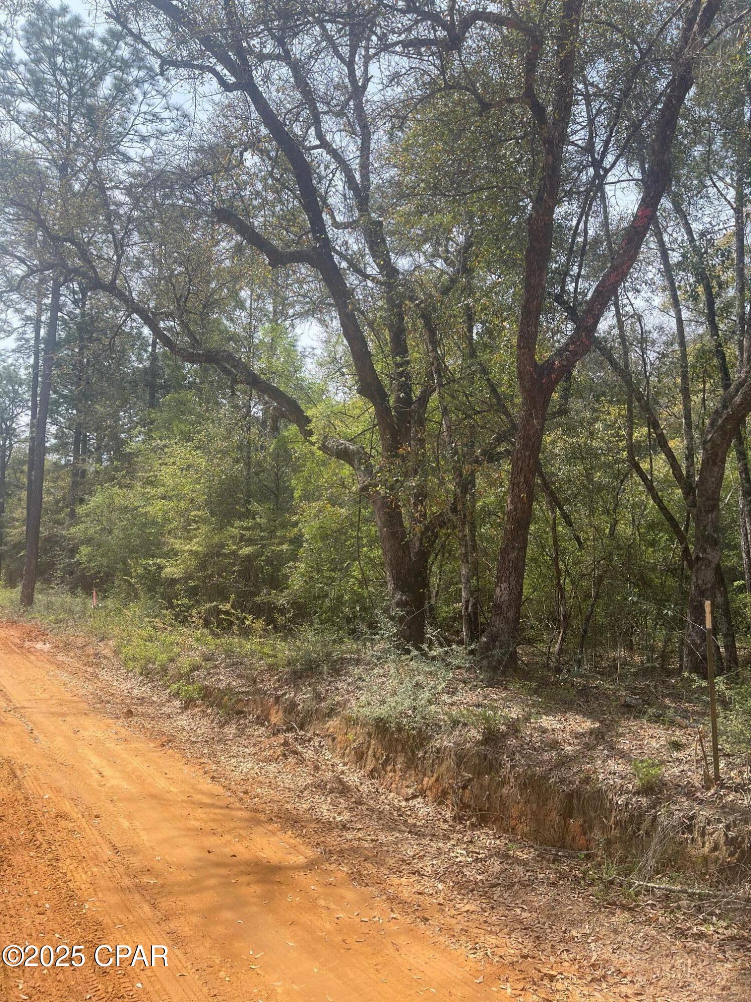 Dogwood Lakes - Land