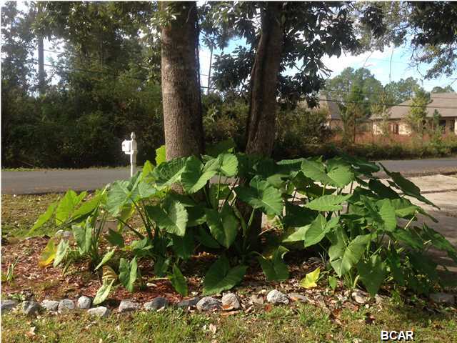 College Point - Residential