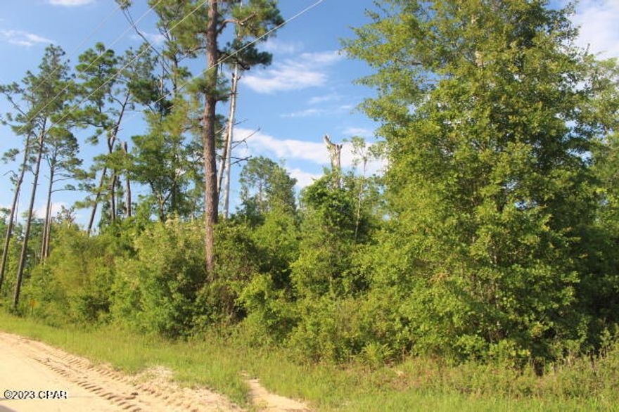 Corner location that is still wooded with no improvements but close to the voluntary fire department and Dollar General.  South 30 minutes to Panama City to Beaches. North to I-10.