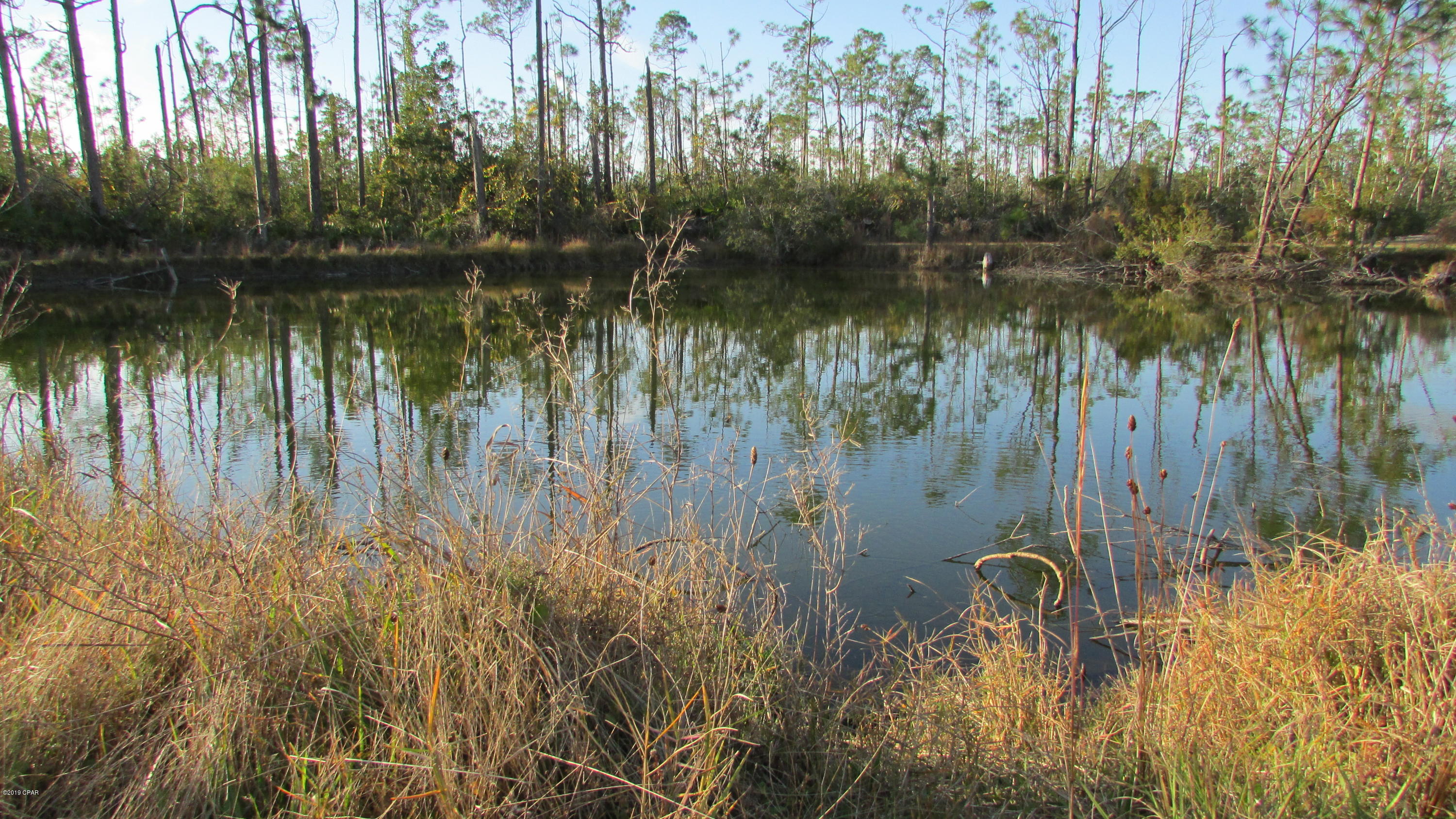 Laird Bayou - Residential