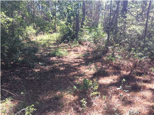 Richard Bayou Estates - Land