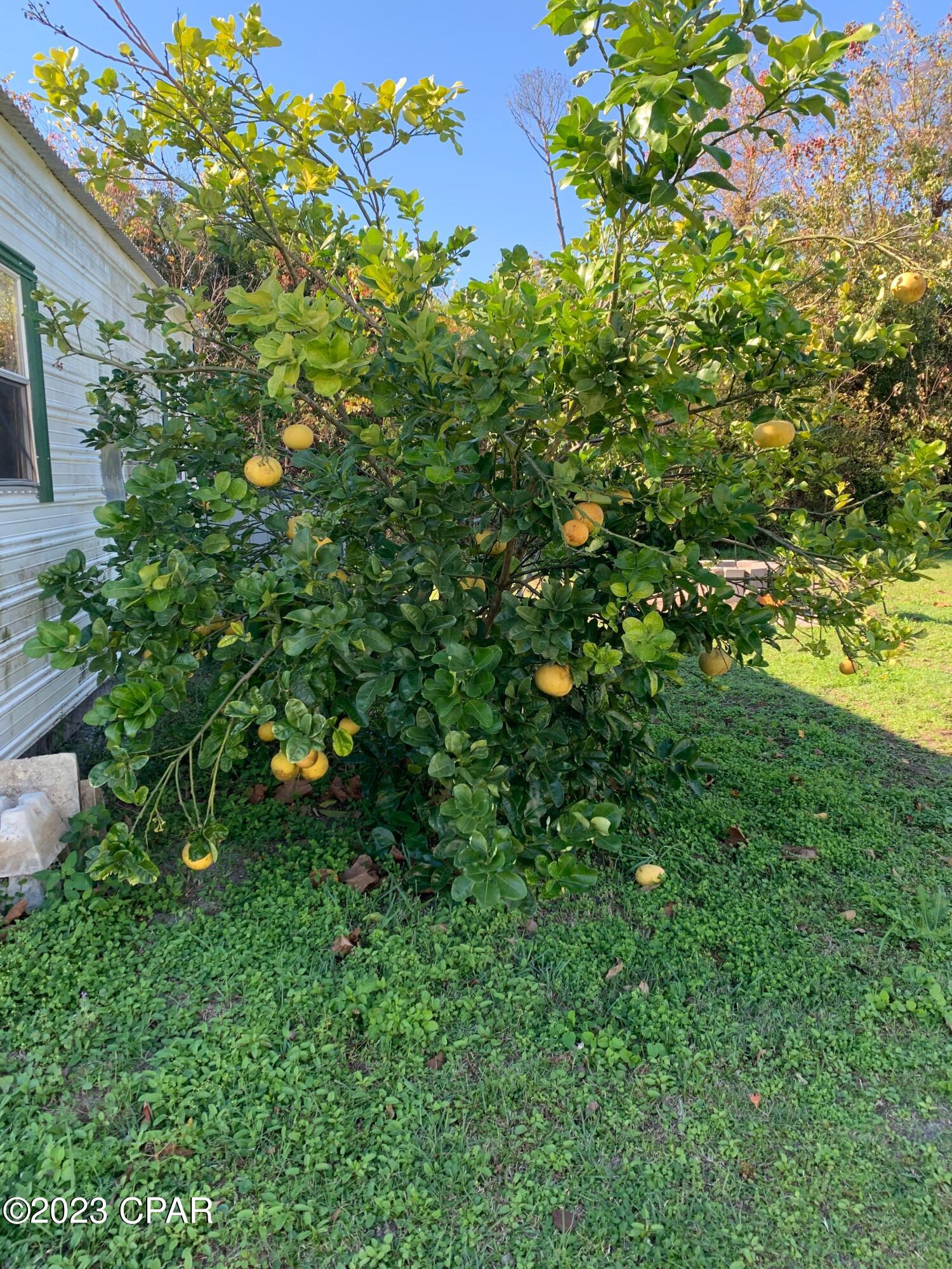 Bayview Heights - Residential