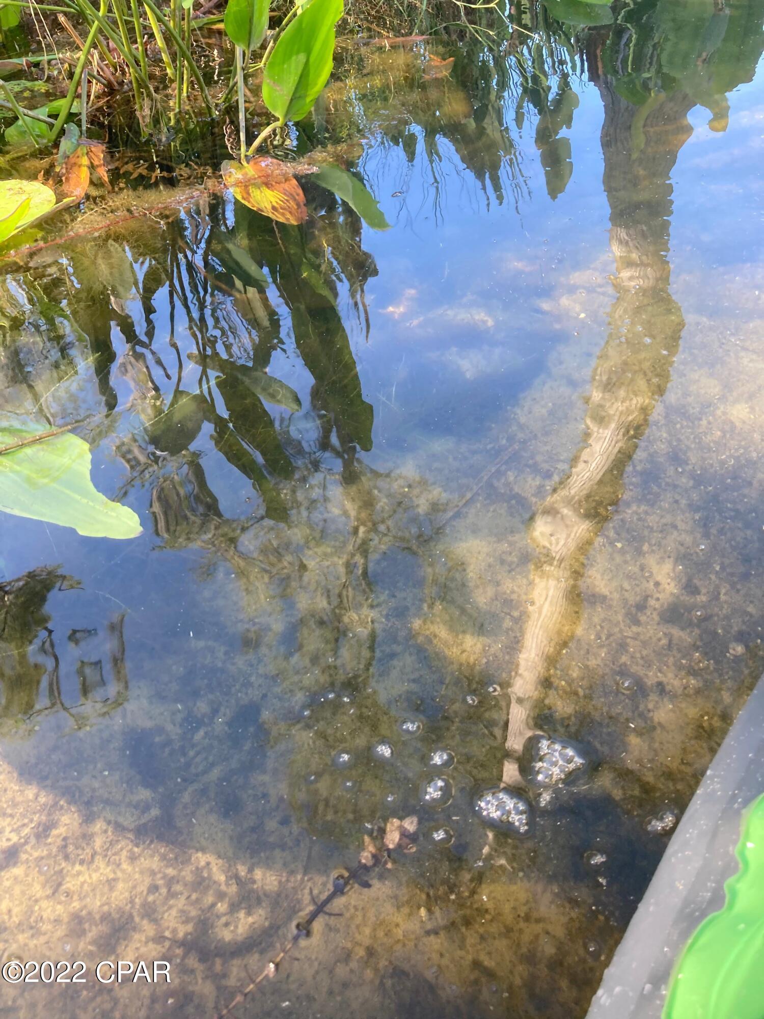 Paradise Lakes - Residential