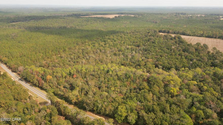 This beautiful tract of land just waiting to be hunted or developed is located just minutes from a pleasant rural town. The property, which can be best described as a stand of mostly hardwood timber, surely provides great hunting, especially considering there's plenty of cover and large ag fields nearby. Or you may want to take advantage of the lay of the land and build your country dream home atop the property's beautiful hardwood ridge. A wet weather creek deemed a wetland area does traverse the grounds roadside, which provides added beauty when entering the property. All state and federal wetland mitigation permits have been paid and a dedicated drive location has been secured to cross the small wetland. Give us a call today to arrange your private showing.