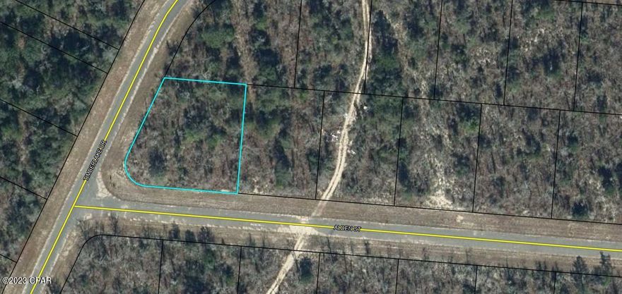 GREAT BUILDING PARCEL that's been left to its original Plush Green Florida Landscape. That means YOU have the ability to choose which trees stay and which ones go. Choose where you want your home built and even where your driveway goes. The Sunny Hills community has places to swim, golf, bike, hike and it has some of the best Fishing Spots on the planet !!! Location is perfect to escape the busy life in this quiet community. But if you ever miss it, Excitement is just a short drive away with The Worlds Most Beautiful Beaches Panama City Beach, Famous Pier Park Shopping, Tyndall Air Force Base and the Marianna Caverns. Cool Deep Water Springs are just minutes away along with several State Parks. Purchase this parcel to build on now or for a future investment. Also makes a great gift.