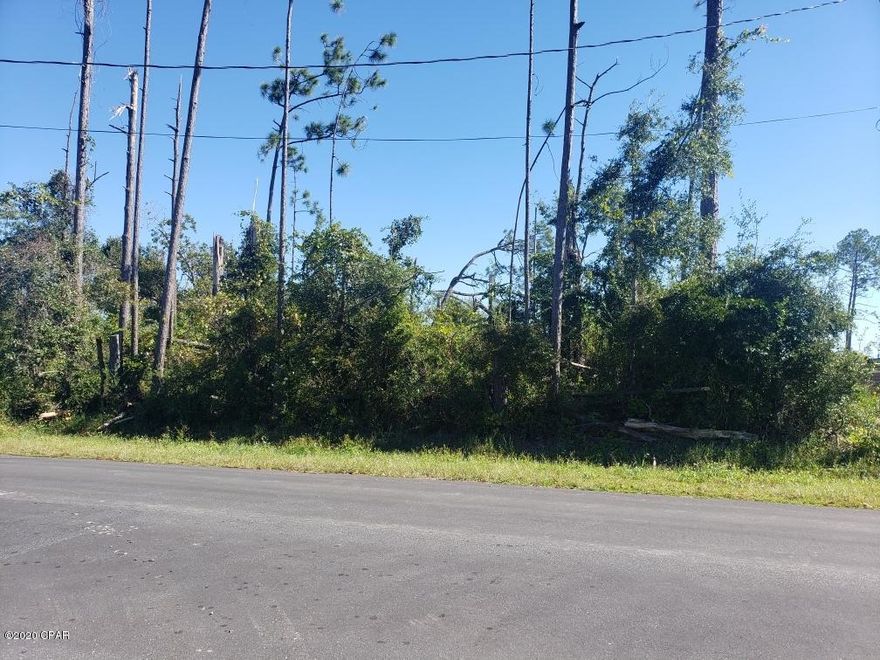 A little over a 1/4 acre lot in Southport on a paved road with county water available! 1.5 miles to 2 boat landings (Deerpont Dam), saltwater (North Bay) & freshwater (Deerpoint Lake). Quiet, low traffic neighborhood. Horses allowed. Perfect for building a new home or for a mobile home.