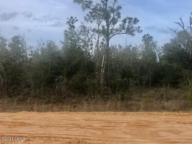 Compass Lake Hills Unit 5 - Land