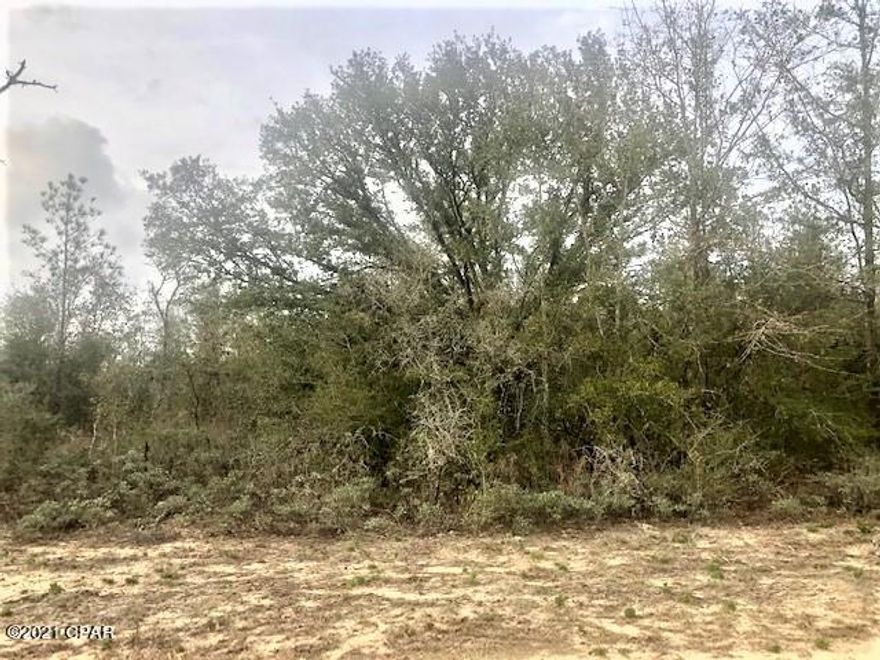 This is a nice corner lot in lovely Compass Lake in the Hills.  With lot ownership you have access to two lakes, clubhouse facilities, RV parking, golf driving range. cabin rentals, and much more.  It has easy access south to Panama City on the coast and north to Marianna for shopping.