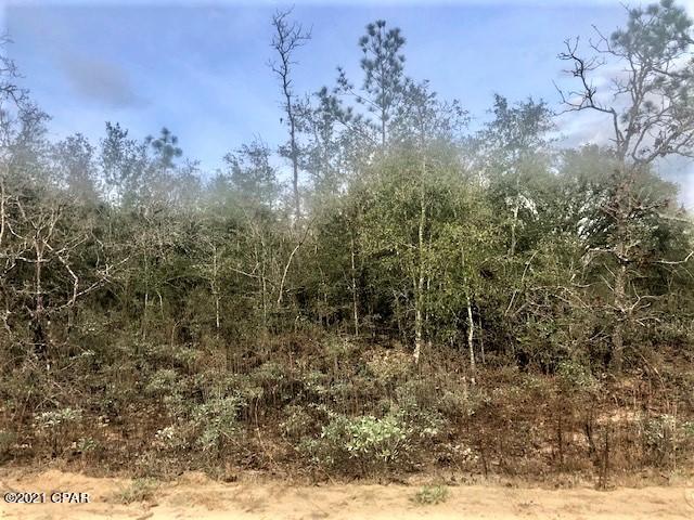 Compass Lake Hills Unit 5 - Land