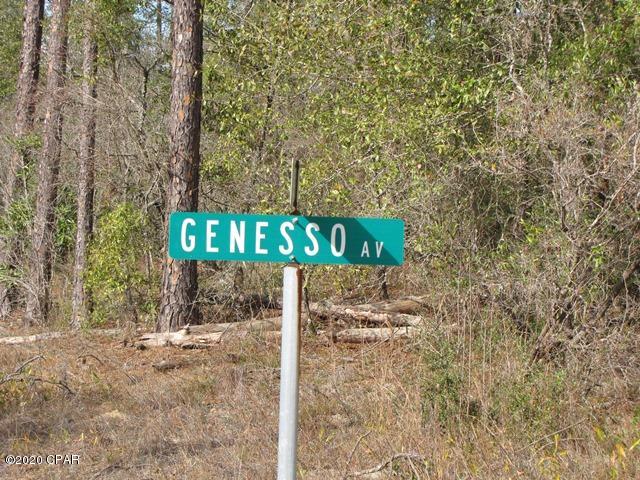 Compass Lake In The Hills - Land