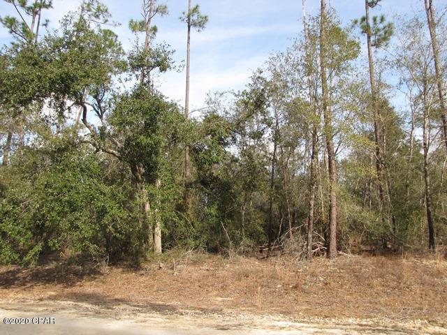 Compass Lake In The Hills - Land