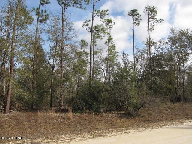 Compass Lake In The Hills - Land