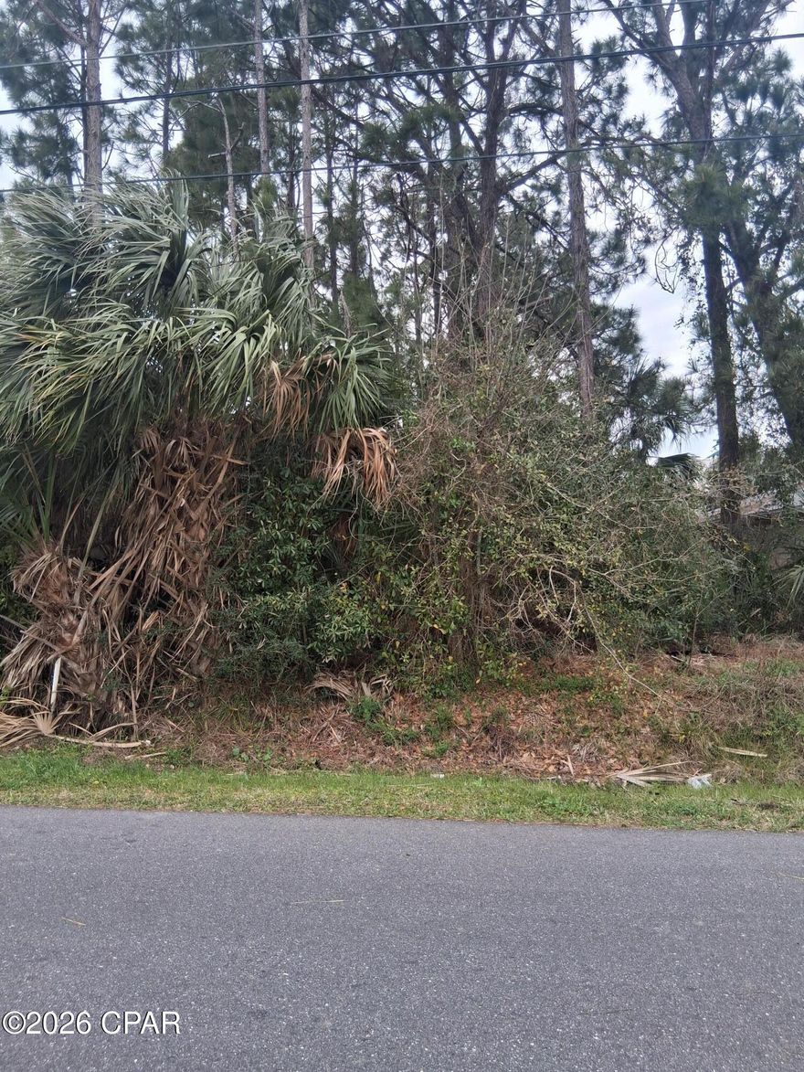 Are you ready to build your dream home just a short distance from the beautiful beaches of Panama City Beach? This fantastic homesite lot is high and dry at 6309 Pine Tree Avenue and offers the perfect opportunity to create your own coastal retreat near the stunning waters of the Gulf of America and the area's famous sugary white sands. Near Beach Access; Near Public Boat Ramp; Within 1/2 Mile to Water

Imagine living just minutes from world-class beaches, boating, fishing, dining, and all the coastal lifestyle amenities that make Panama City Beach such a desirable place to call home. Whether you're planning a full-time residence, vacation getaway, or investment property, this location offers endless potential.

Opportunities like this don't come around often. Secure your piece of paradise today.