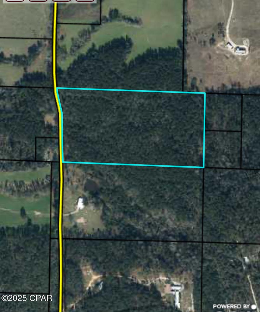 This densely wooded property is located just off Hwy 77 in Wausau.  Conveniently located 30 minutes to Lynn Haven, 20 minutes to Interstate 10 or 45 to beaches.

An ideal location for a peaceful homestead or 2nd home retreat - yet close to newly 4 laned Hwy 77.  Deer and other wildlife are abundant among the hardwoods and lush thick underbrush on the 19 acres.