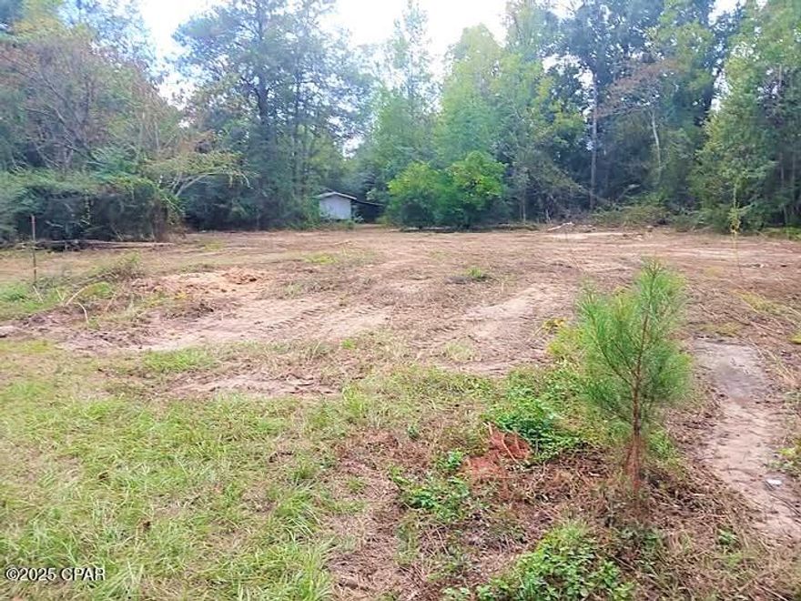 9.57 unrestricted acres of peaceful, country living with paved highway frontage and no visible neighbors. There is a power pole, well, septic tank, shed, a small horse barn (needs attention) and a round horse pen. Front has been cleared and there is a concrete pad in place. Tiny Home, RV, & Mobile Home Friendly with no HOA. Located in Holmes County near the Choctawhatchee River for boating, fishing, and swimming. This property offers endless potential—place a mobile or tiny home, park an RV, start a farm, or simply invest in hard-to-find acreage with no deed restrictions. Only 1 hour to beautiful South Walton Beaches and Panama City Beach.