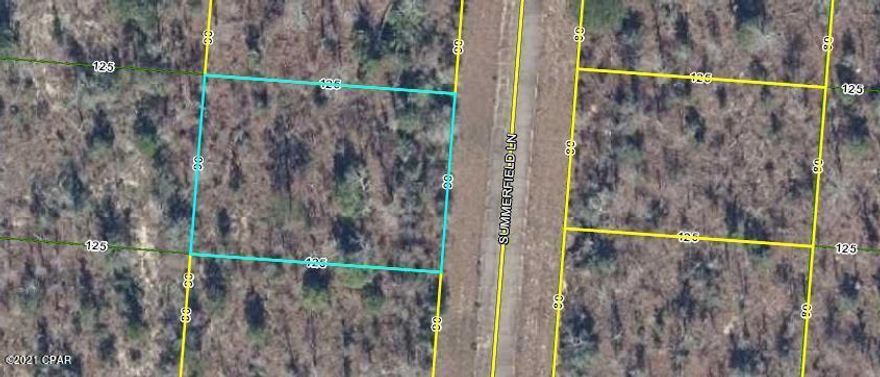 A Lightly Wooded Lot for building in Sunny Hills Subdv.  Well and Septic will be needed.  Owning a lot here will allow  use of many ponds and lakes for free fishing in the area.  There is  a popular golf course,  crystal Blue Lake for swimming, a community library. Some Units have public community water, which would be required to use if available.  Nearby International airport and Beautiful Beaches.