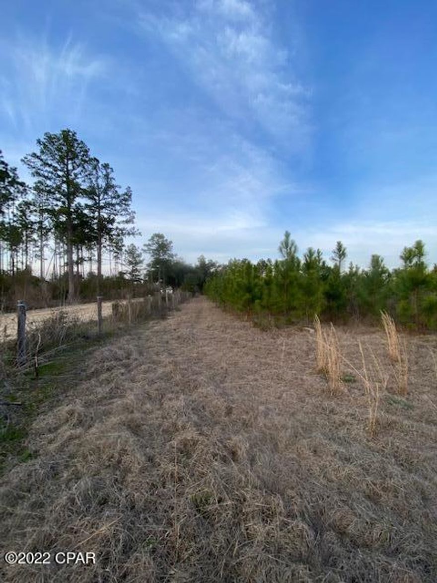 This nice 8.5+/- acre land tract is located on a scenic road in Greenwood, Florida surrounded by farmland and nice residential homesites. There are 7 year old planted pines on the majority of the property, and it is fenced. In the center of the property there is a cleared area that would make a great homesite.  It has a septic tank and a 20 foot stainless shipping container that conveys.