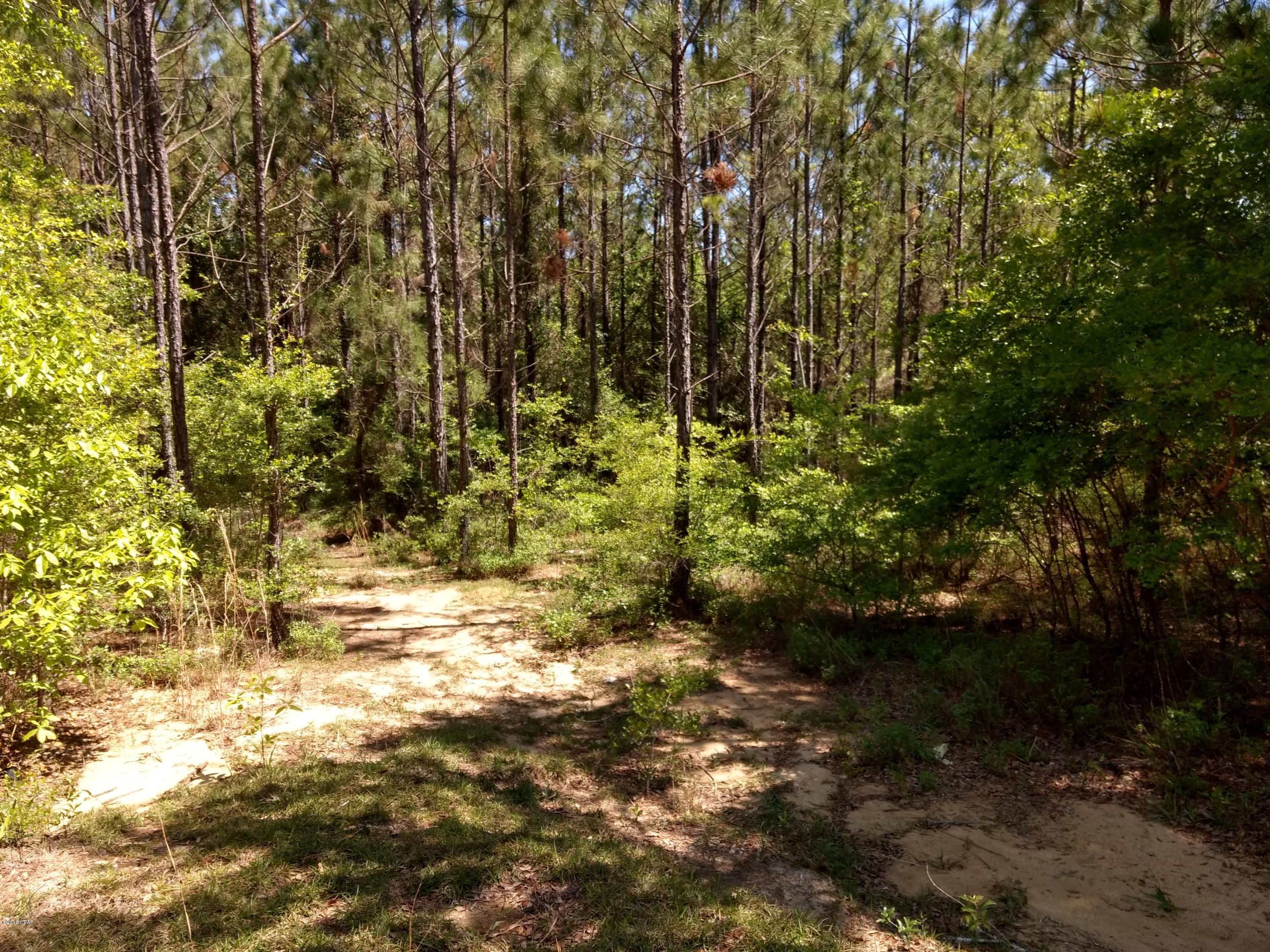 No Named Subdivision - Land