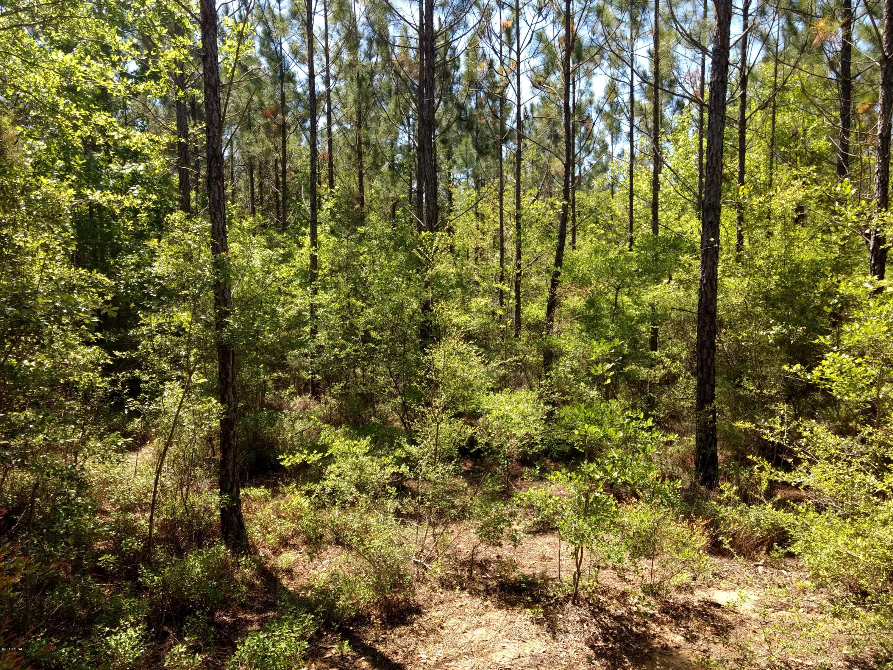 No Named Subdivision - Land