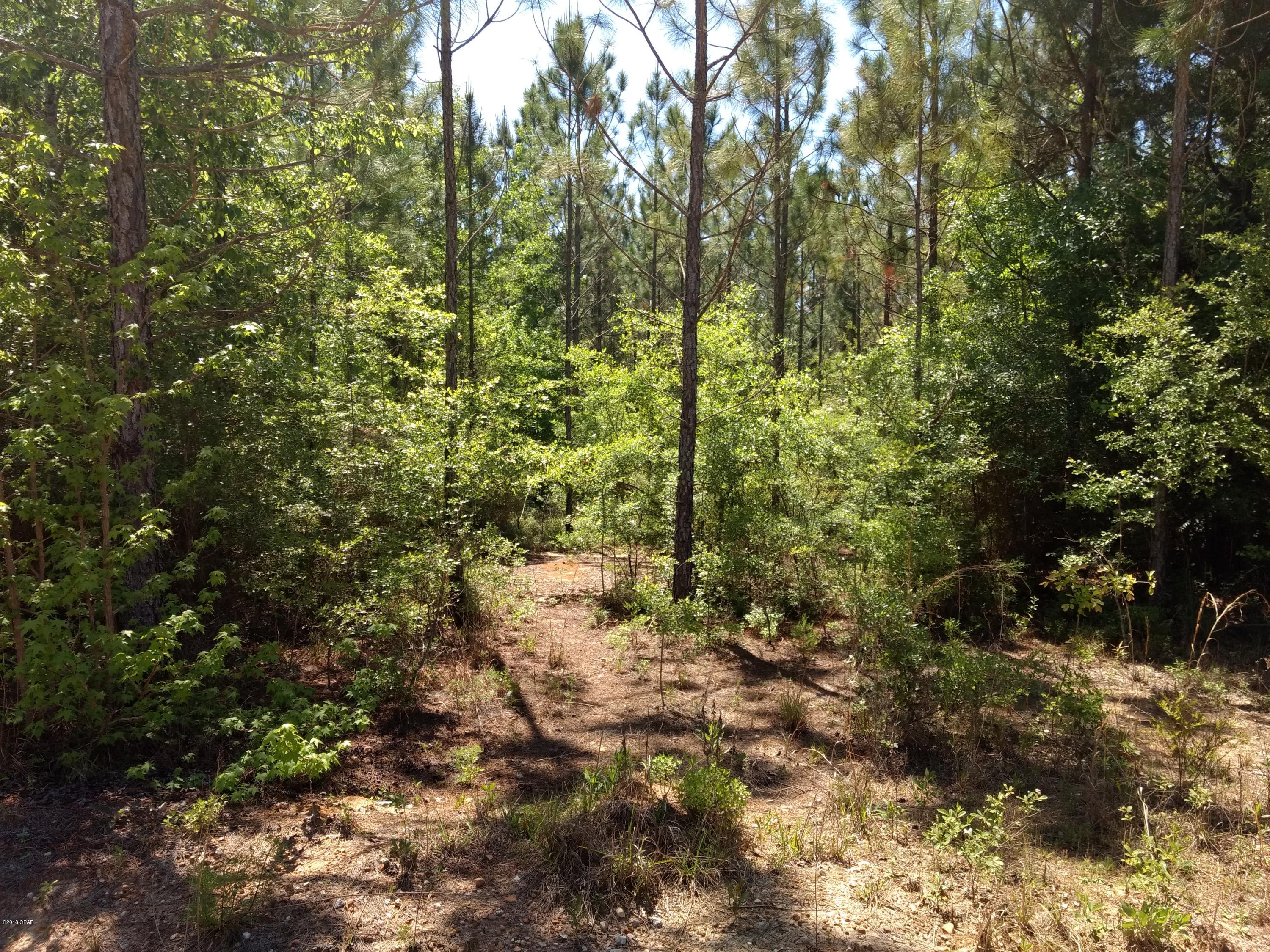 No Named Subdivision - Land