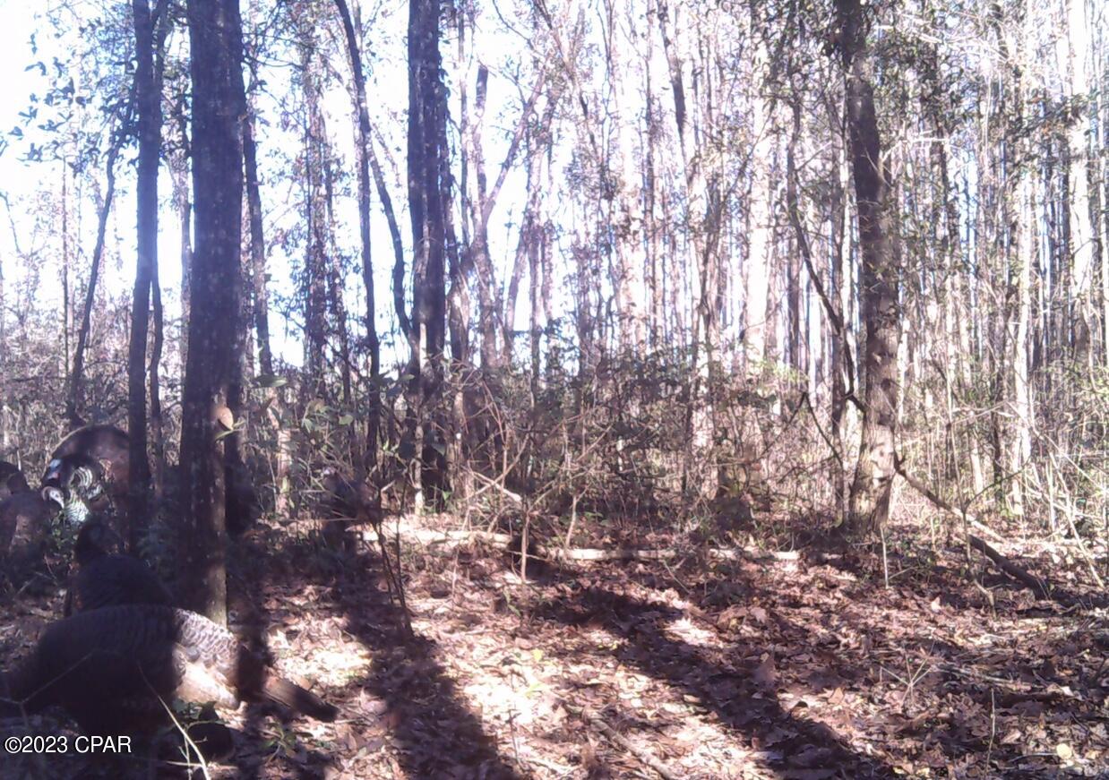 Grand Ridge - Residential