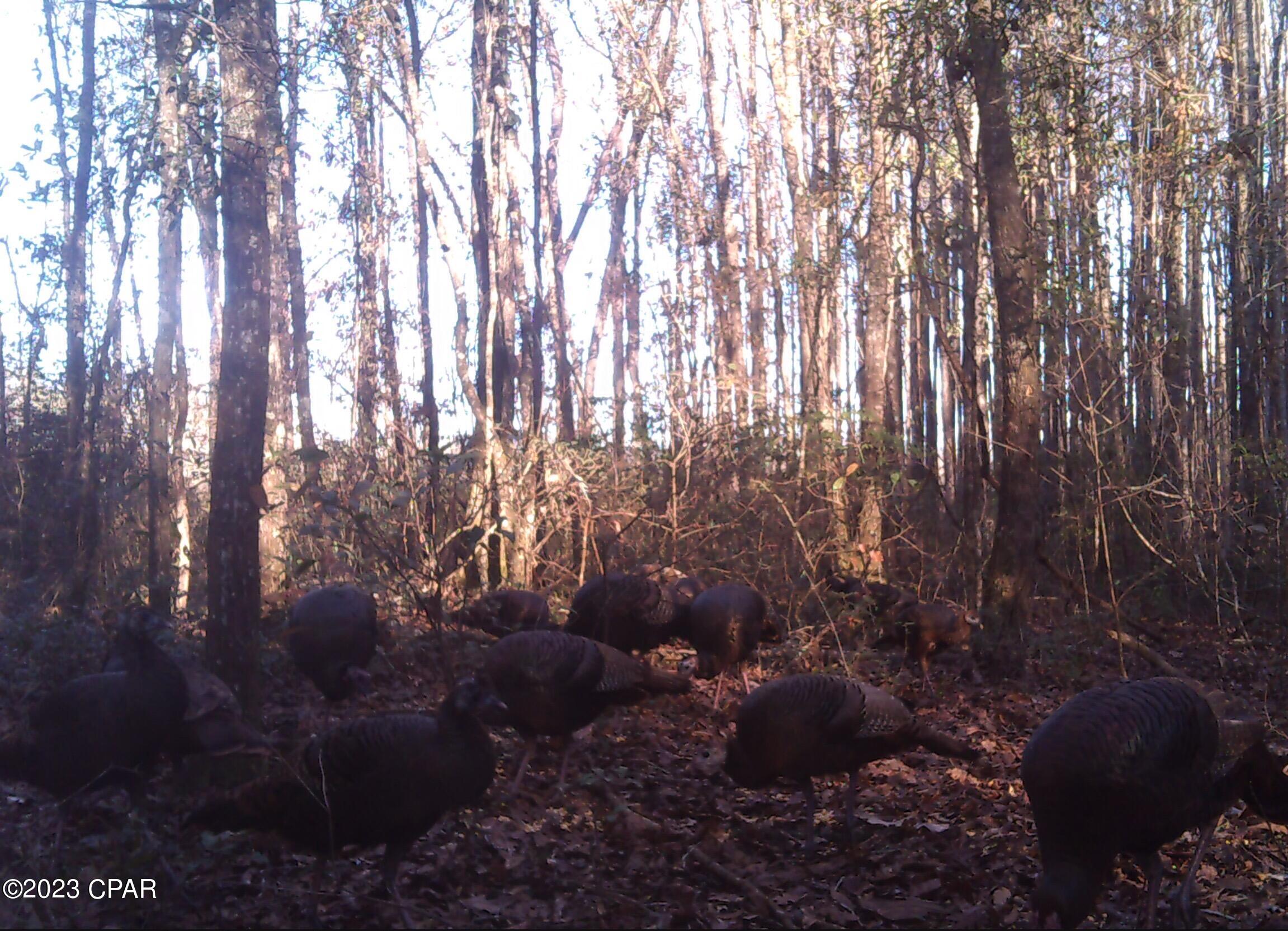 Grand Ridge - Residential