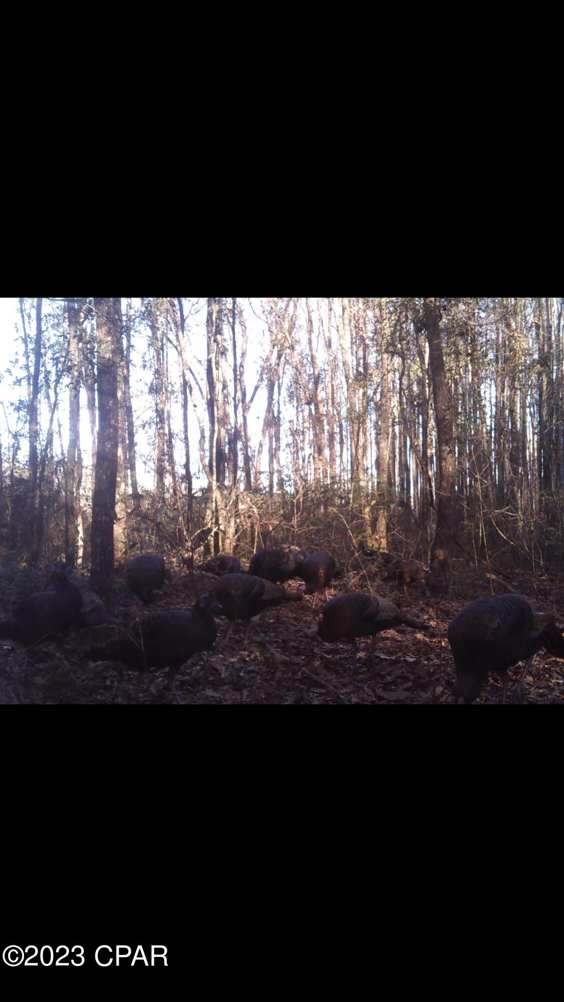 Grand Ridge - Residential